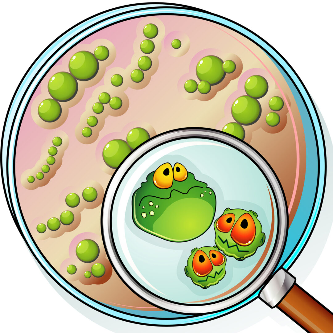 a cartoon image of bacterial contamination